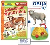 Самым маленьким. Домашние животные. Игра. Радуга (3+) - купить оптом