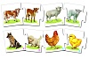 Рассказы о животных 2. Игра. Радуга (3+) - купить оптом