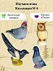 Изучаем птиц. Коллекция 4. Набор из 4 игрушек. Весна. ПВХ. 5-7 см. - купить оптом