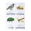 Самым маленьким. Птицы и насекомые. Игра. Радуга (2+) - купить оптом