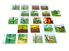 Шаг за шагом. Почемучка 1. Игра. Радуга (4+) - купить оптом