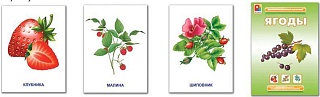 Демонстрационный материал Ягоды Игра развивающая для детей из бумаги и картона  - купить оптом