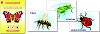 Демонстрационный материал. Насекомые. Игра развивающая для детей из бумаги и картона - купить оптом